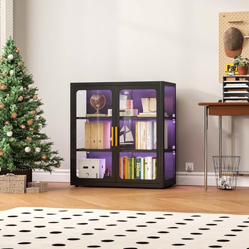 Glass Cabinet Display - Display Cabinet with Glass Doors and