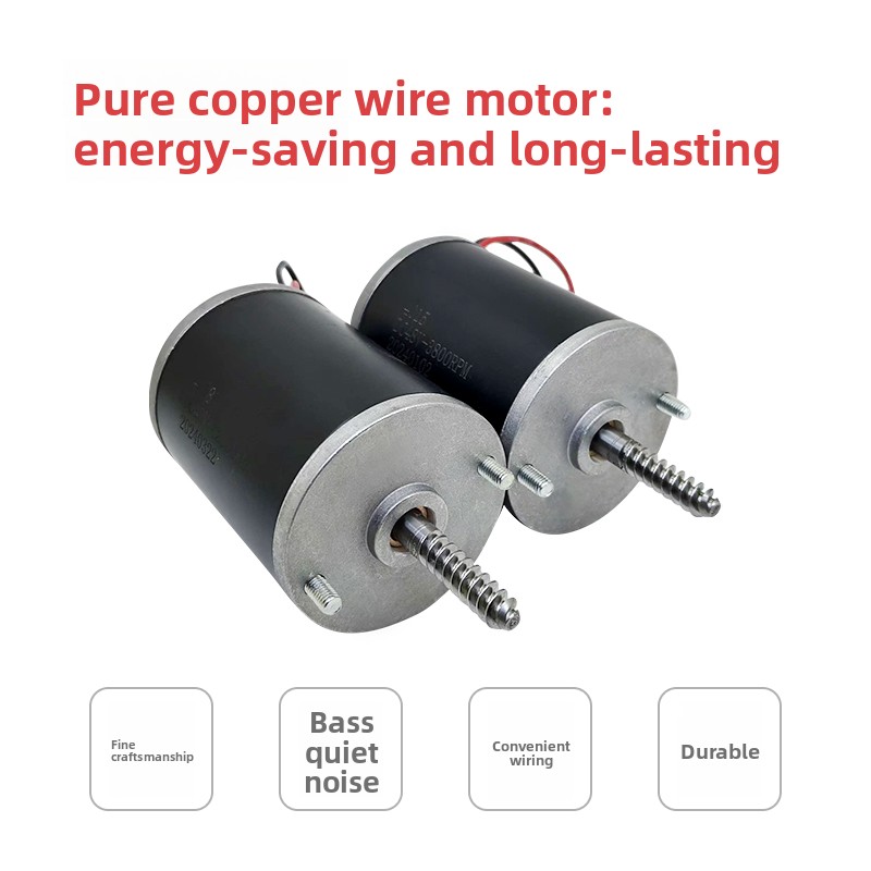 Durable 24V 48V Motor for Claw - Crane Claw Motor 评论和价格